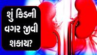 Kidney: શું બન્ને કિડની ફેલ થઈ જાય તો માણસ જીવી શકે? જાણો શું કહે છે ડોક્ટર