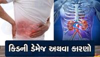 Kidney ને તાજી-માજી રાખવી હોય તો ભૂલથી પણ કરશો નહી આ ભૂલ, શોધવા નિકળવું પડશે ડોનર
