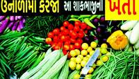 ઉનાળામાં આ 7 શાકભાજીની ખેતી 7 વર્ષ ચાલે એટલી કરાવશે કમાણી! જાણો કયા છે આ સુપરશાકભાજી