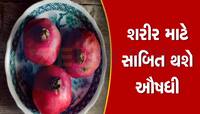 Pomegranate Peel:કચરો નહી કંચન છે દાડમની છાલ, ભુક્કો કરીને ફાકશો તો મળશે ગજબના ફાયદા