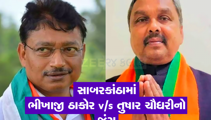 ભાજપે દિપસિંહનુ પત્તુ કાપી ભીખાજી ઠાકોરને ટિકિટ આપી, તો કોંગ્રેસ આદિવાસી ઉમેદવારને લઈ આવી