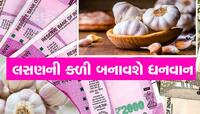 Vastu Dosh: લસણના આ ટોટકા તમને બનાવી દેશે કરોડપતિ, નેગેટિવ એનર્જી ઉભી પૂંછડીયે ભાગશે
