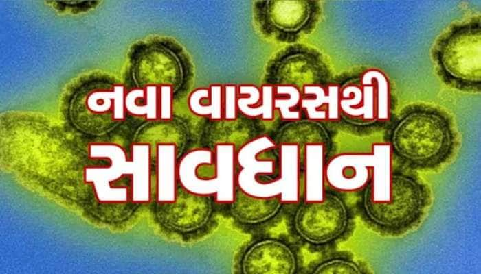 ગુજરાતમાં નવી બીમારીની એન્ટ્રી : જાન્યુઆરીથી અત્યાર સુધી 180 કેસ, 9 લોકોના મોત