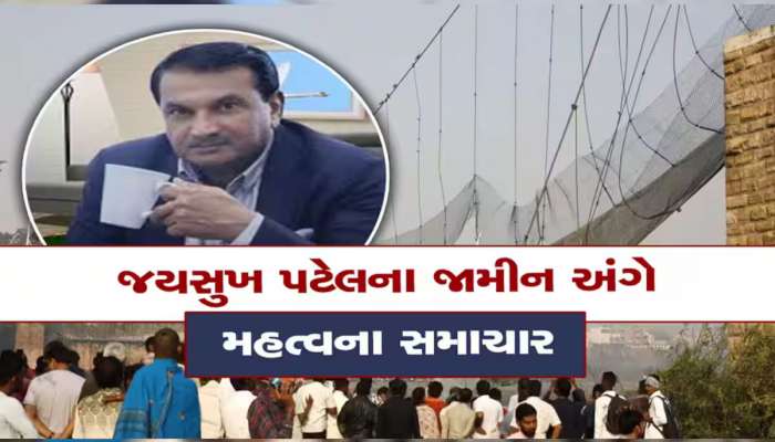આ 7 શરતો પર મંજૂર થયા મોરબી પુલ હોનારતના આરોપી જયસુખ પટેલના જામીન