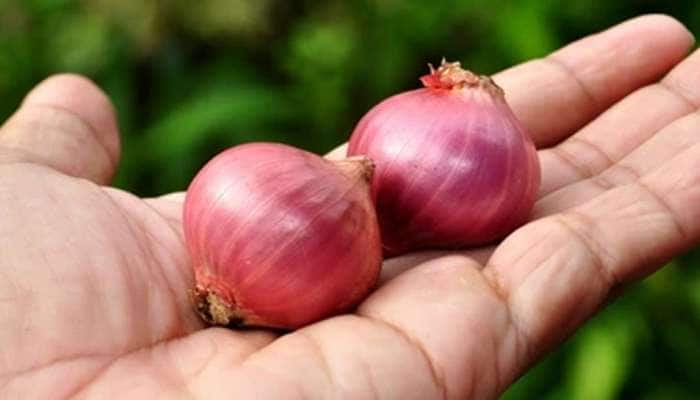 Onion For Summer: ખિસ્સામાં ડુંગળી રાખવાથી નથી લાગતી લૂ... જાણો આ વાત કેટલી સાચી