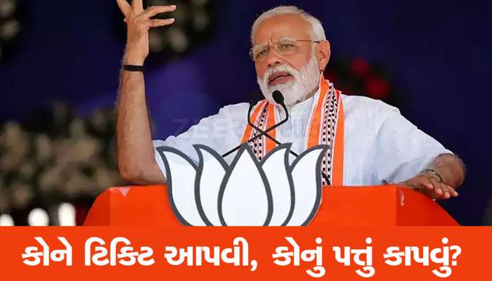 ભાજપની એ રણનીતિ...જેના લીધે અત્યાર સુધીમાં 100 જેટલા સાંસદોના કપાયા છે પત્તા, હજુ ઉમેરો થશે