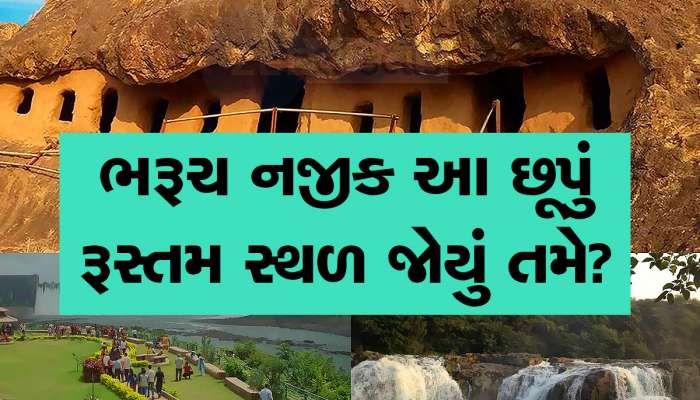 Photos: ગુજરાતમાં રહેતા હોવ અને 'ભૃગુકચ્છ'ની આ જગ્યાઓ ન જોઈ હોય તો શરમ જેવું કહેવાય! ખાસ જાણો આ સ્થળો વિશે