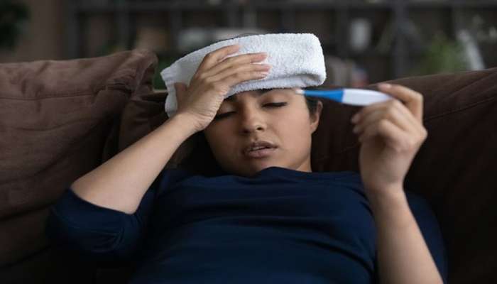 Viral Fever: વાયરલ ફીવર અને તાવ વચ્ચે શું છે તફાવત ? જાણો તેના લક્ષણ અને બચાવના સરળ ઉપાય