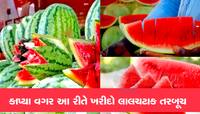 બેવકૂફ બનશો નહી...સિઝન આવી ગઇ છે શીખી લો તરબૂચ ખરીદવાની ટિપ્સ, મધ જેવું મીઠું નિકળશે