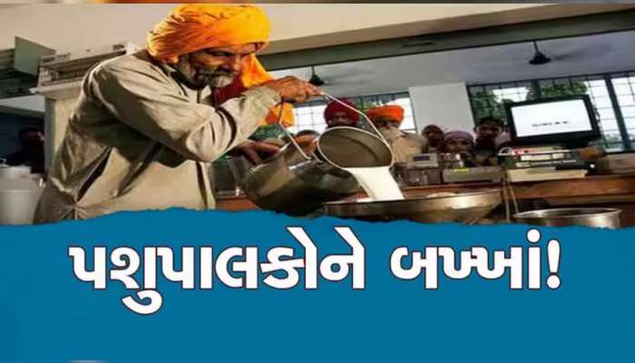 પશુપાલકોને ફળ્યો માર્ચ મહિનો, દૂધસાગર ડેરીએ કરી ભાવ વધારાની જાહેરાત