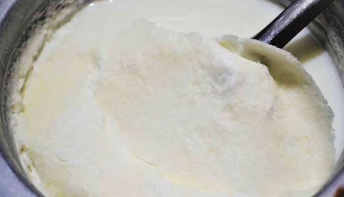 Milk Cream: દૂધની મલાઈને જરાય સાધારણ ન સમજતા, પુરુષો તો ખાસ જાણે તેના ફાયદા વિશે