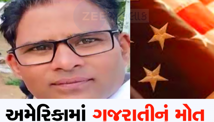 અમેરિકામાં ભયાનક અકસ્માતમાં પાટણના યુવકનું મોત, ફૂટપાથ પર ચાલતા દિનકરને ટ્રકે ટક્કર મારી