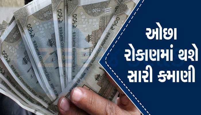 Business Idea: 10000 રૂપિયાથી શરૂ કરો આ સુપરહિટ બિઝનેસ, મહિને થશે મોટી કમાણી