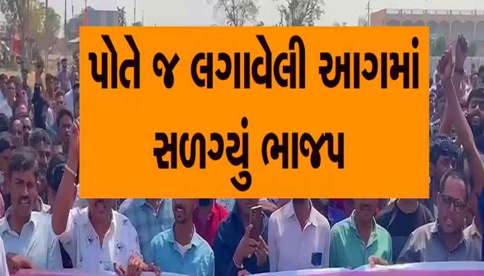 ગુજરાતની આ બેઠક પર ભાજપે ઉમેદવાર બદલ્યા પછી પણ વિરોધ, ખુદ CM ભૂપેન્દ્ર પટેલ મેદાને!