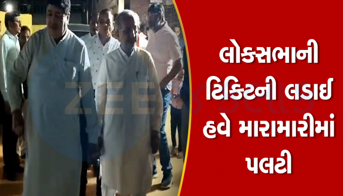 લોકસભાની ટિકિટની લડાઈ હવે શેરીઓમાં પહોંચી : અમરેલીમાં ભાજપના બે જૂથ વચ્ચે મારામારી થઈ