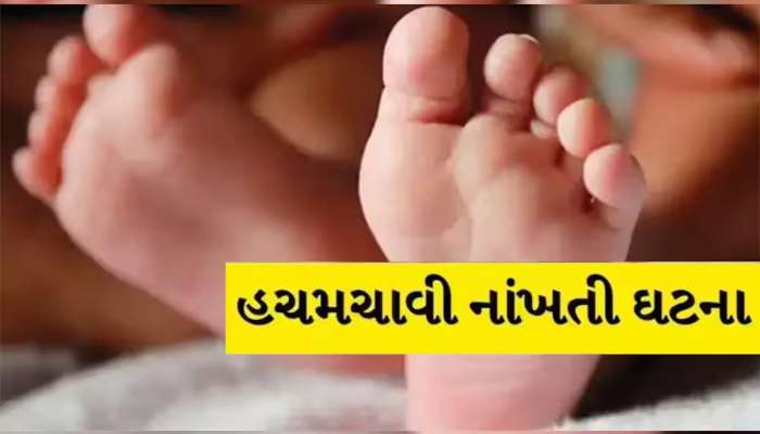 પરિવારમાં દીકરીનો જન્મ થતા પરિવાર ખુશખુશાલ હતો, પણ અચાનક કાળનું ચક્ર ફળ્યું અને..