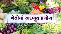 ખેડૂતે એક જ ઝાડ પર ઉગાડી 5 પ્રકારની શાકભાજી, ટ્રેનિંગ લઇને આવકમાં કર્યો ધરખમ વધારો