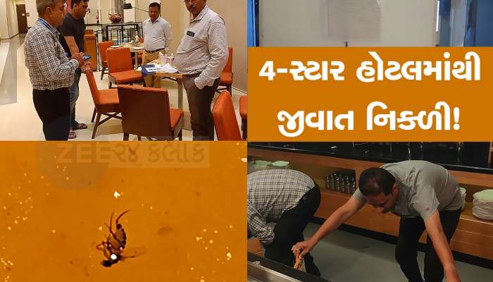 અમદાવાદની 4-સ્ટાર હોટલમાંથી મંગાવેલા સુપમાં નિકળી જીવાત, AMCએ કિચન કર્યું સીલ