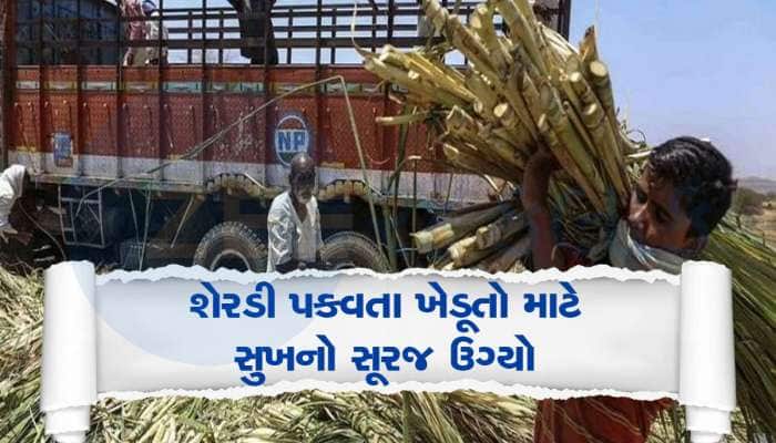 દક્ષિણ ગુજરાતના ખેડૂતો માટે સોનાનો દિવસ, સુગર મિલોએ શેરડીના ભાવ જાહેર કર્યાં