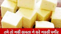 આ પનીર પેટ ફાડી નાંખશે! સુરતમા 230 કિલો પનીર મુદ્દે મોટો ખુલાસો, આ વસ્તુનો થતો ઉપયોગ