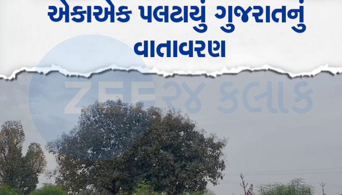 Gujarat Weather: ગુજરાતમાં ભર ઉનાળે વરસાદ આવ્યો, બે જિલ્લામાં વાદળો સાથે તૂટી પડ્યો વરસાદ 