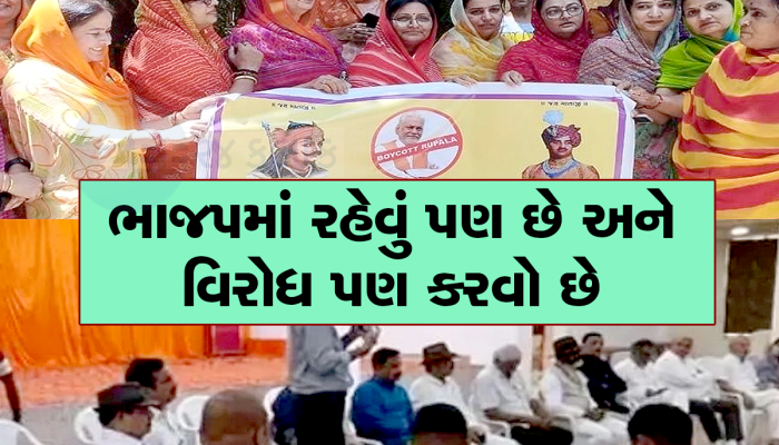 કમલમ જતાં ડર લાગે છે? ટિકિટ એ ભાજપ સંગઠનનો વિષય સરકારનો નહીં, મામલતદારને આવેદન કેમ?