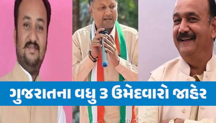ગુજરાત કોંગ્રેસે 2022માં ચૂંટણી હારેલા 3 ઉમેદવારોને મેદાનમાં ઉતાર્યા,કોને મળી ટિકીટ?