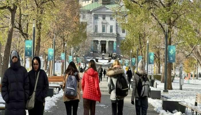 ભારતીયો માટે 'સ્વર્ગ' છે આ દેશો! રહેવા, કામ કરવા માટે આપે છે તક, વિઝા પણ સરળતાથી મળે