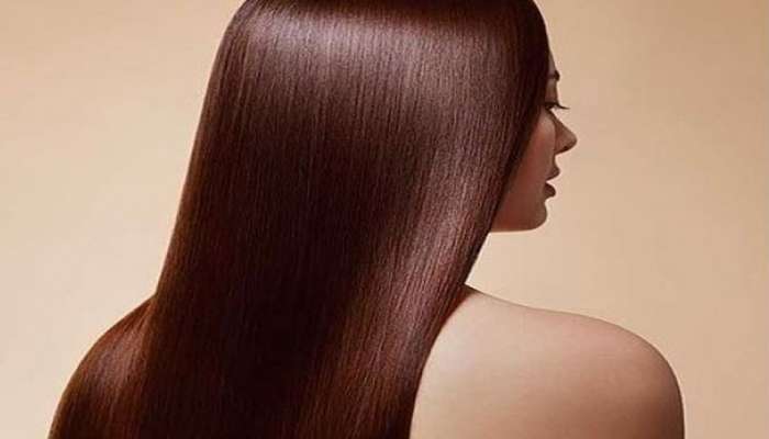 Carrot For Hair:ગાજરની મદદથી વાળ થશે લાંબા અને મજબૂત, સલૂનમાં ટ્રીટમેન્ટ કરાવ્યા જેવી થશે અસર