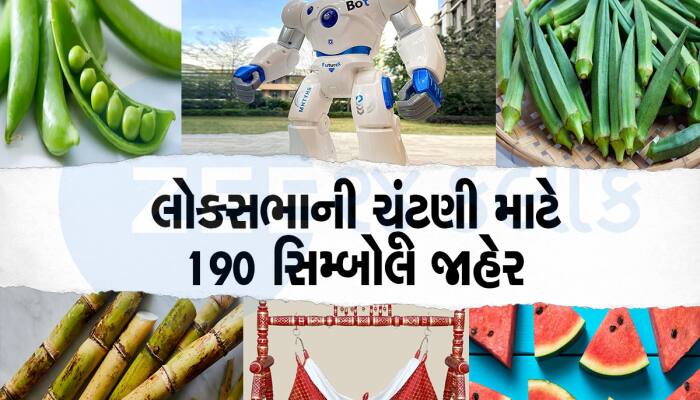 ભીંડો, વટાણા, રોબોટ, ગરણી, ઘોડિયું.. વિચિત્ર પ્રતીકો પર ચૂંટણી લડશે લોકસભાના ઉમેદવાર