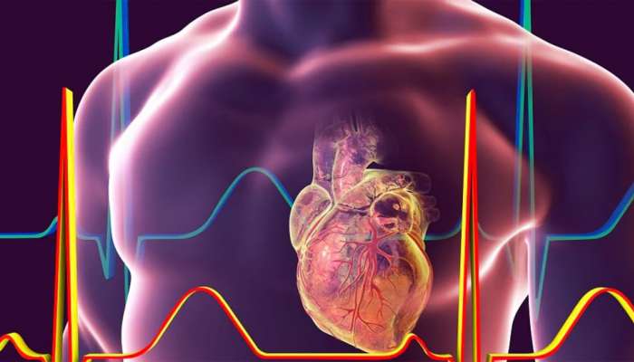 Heart Attack: હાર્ટ એટેકના 30 દિવસ પહેલાં શરીરમાં જોવા મળે છે આ 7 લક્ષણ, ઈગ્નોર કરવાની ભુલ ન કરવી