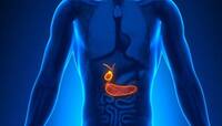 Kidney Stone: આ 7 આદતોથી કિડનીમાં વધી જાય છે પથરીની જોખમ! ભૂલથી પણ કરશો નહી આ ભૂલ