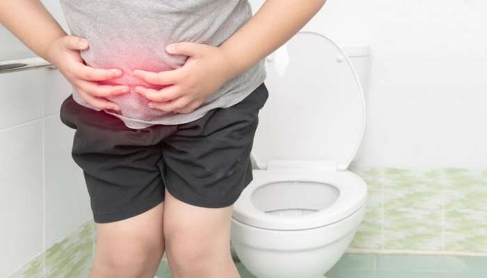 Constipation: આ 8 ફુડ કબજિયાત મટાડી પેટ સાફ રાખવામાં કરે છે મદદ, આજથી જ સામેલ કરો ડાયટમાં
