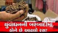 ગુજરાતના યુવાધનને બરબાદ કરે છે આ લોકો! અમદાવાદમાં ફરી ગાંજાની હેરાફેરીનો પર્દાફાશ