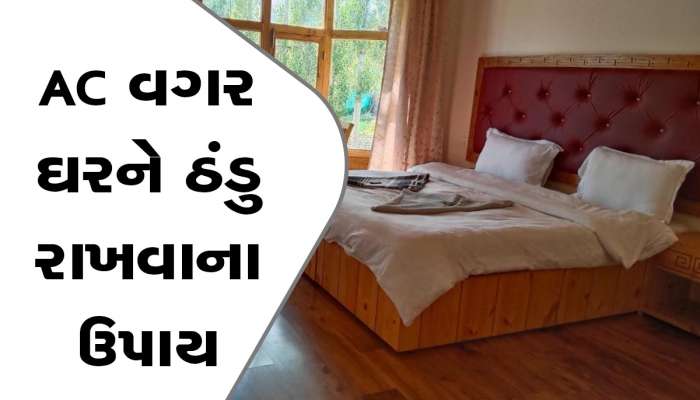 AC વગર ઘર રહેશે ઠંડા-ઠંડા કૂલ-કૂલ, ઘરને ગરમ થવાથી બચાવવા માટે અપનાવો આ કુદરતી ઉપાયો