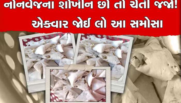 વડોદરામાં ગૌમાંસના સમોસા મામલે DCP પન્ના મોમાયાનું મોટું નિવેદન, વધુ એક આરોપીનું ખૂલ્યું નામ