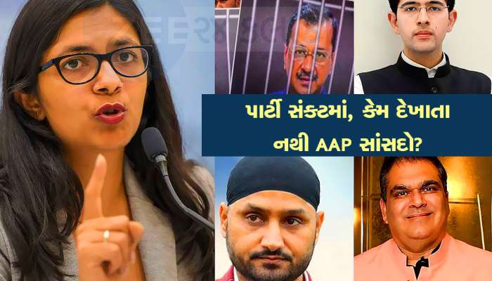 અરવિંદ કેજરીવાલની ધરપકડ બાદ સંકટમાં પાર્ટી, ક્યાં 'ગાયબ' થઈ ગયા છે AAP ના 10માંથી 7 સાંસદ?