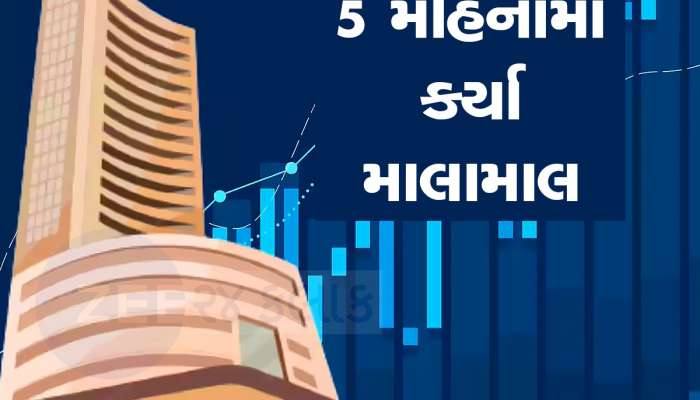 32 રૂપિયા પર આવ્યો હતો IPO, 5 મહિનામાં પહોંચ્યો 165 રૂપિયાને પાર,  421% ની તેજી