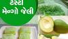 Cooking Tips: કેરીની સિઝનમાં કેરીની જેલી બનાવો પરિવાર આંગળા ચાટી જશે, આ છે બનાવવાની Tips