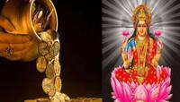 18 વર્ષ બાદ બનશે શક્તિશાળી શુક્રાદિત્ય રાજયોગ, આ 3 રાશિવાળાનું તો ભાગ્ય ઉઘડી જશે