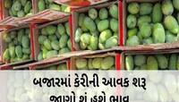 કેરીનો સ્વાદ આ વખતે મોંઘો: આંખે અંધારા લાવશે કેરીની પેટીનો ભાવ, આ કારણોએ ભાવ વધ્યા