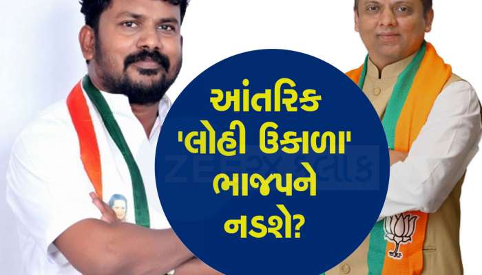 ગુજરાતની આ બેઠક જે જીતે તેની કેન્દ્રમાં બને છે સરકાર, ભાજપનો મજબૂત ગઢ પણ કોંગ્રેસ ઉમેદવાર છે ખૂબ ચર્ચામાં