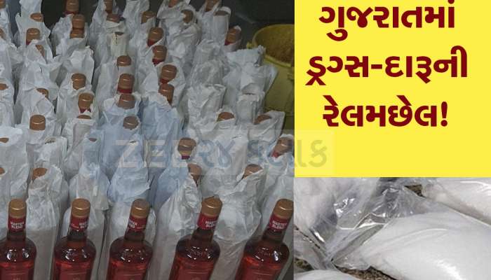 મતદાન પહેલા ગુજરાતમાંથી 485 કરોડનું ડ્રગ્સ, 7 લાખ લીટરથી વધુ દારૂ જપ્ત