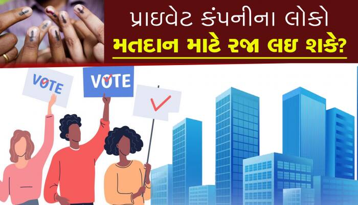 પ્રાઇવેટ કંપનીમાં નોકરી કરતા લોકો મતદાન માટે રજા લઈ શકે? જાણો શું છે નિયમ...