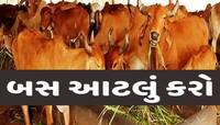 કાળઝાળ ગરમીમાં પશુધનનું કેવી રીતે ધ્યાન રાખશો? પશુપાલકો અને ખેડૂતોએ વિશેષ કાળજી લેવી