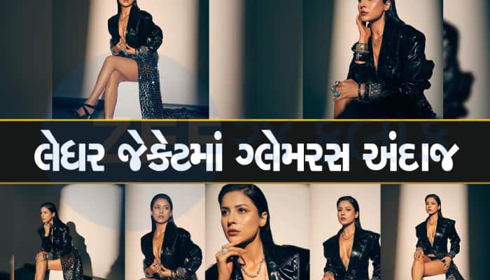 બાપરે... શહેનાજ ગીલે થોડું ઢાંક્યું અને ઘણું બતાવ્યું.. ફોટા જોઇને થઇ જશો પાણી પાણી.