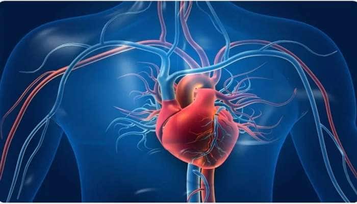 Heart Health: હાર્ટની સૌથી મોટી ધમની બ્લોક હોય ત્યારે શરીરમાં જોવા મળે આ 7 લક્ષણ