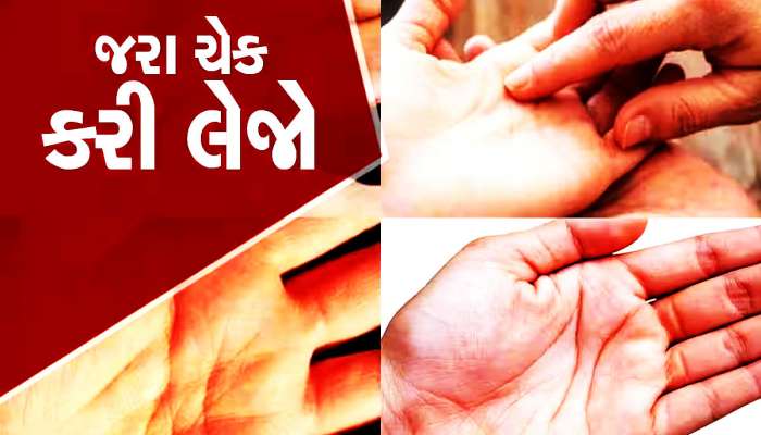 તમારી હથેળીમાં હશે આ રેખાઓ તો તમને કરોડપતિ બનતાં કોઈ નહીં રોકી શકે, ચેક કરી લેજો