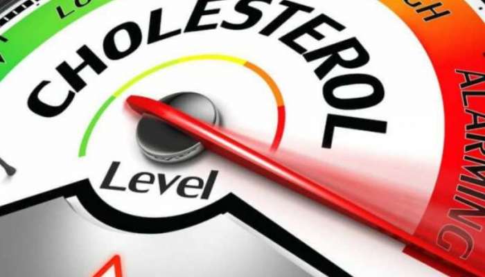 HDL Cholesterol: શરીરમાં ગુડ કોલેસ્ટ્રોલનું લેવલ વધારી શકે છે આ 5 હેલ્ધી ફૂડ્સ