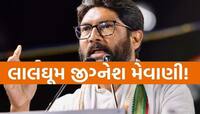 જીગ્નેશ મેવાણીએ ફેંક્યો ખુલ્લો પડકાર - 'આ ચૂંટણીમાં ભાજપનો રગડો કાઢી નાખીશું'